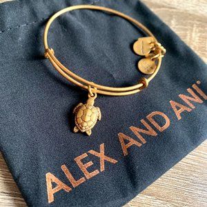Alex and Ani Turtle